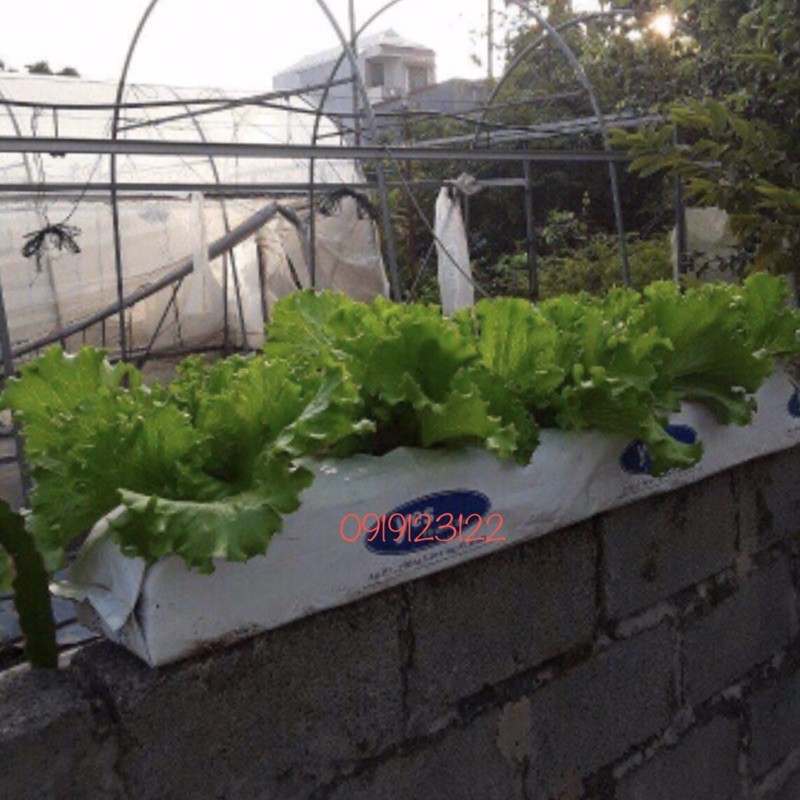 TÚI TRỒNG CÂY- GROW BAGS XƠ DỪA ÉP THẺ