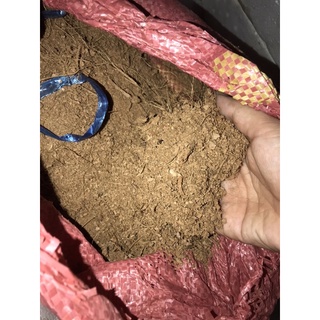 500g Xơ dừa đã xử lý