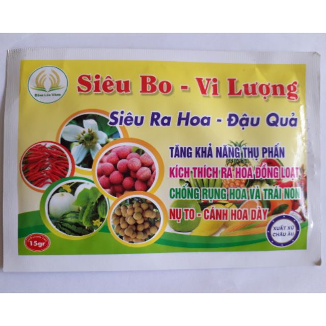 Siêu ra hoa đậu quả Siêu Bo