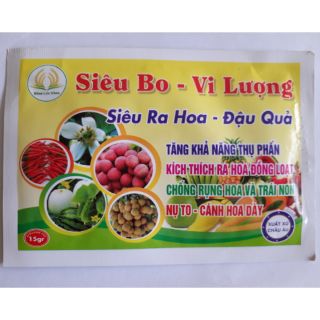 Siêu ra hoa đậu quả Siêu Bo