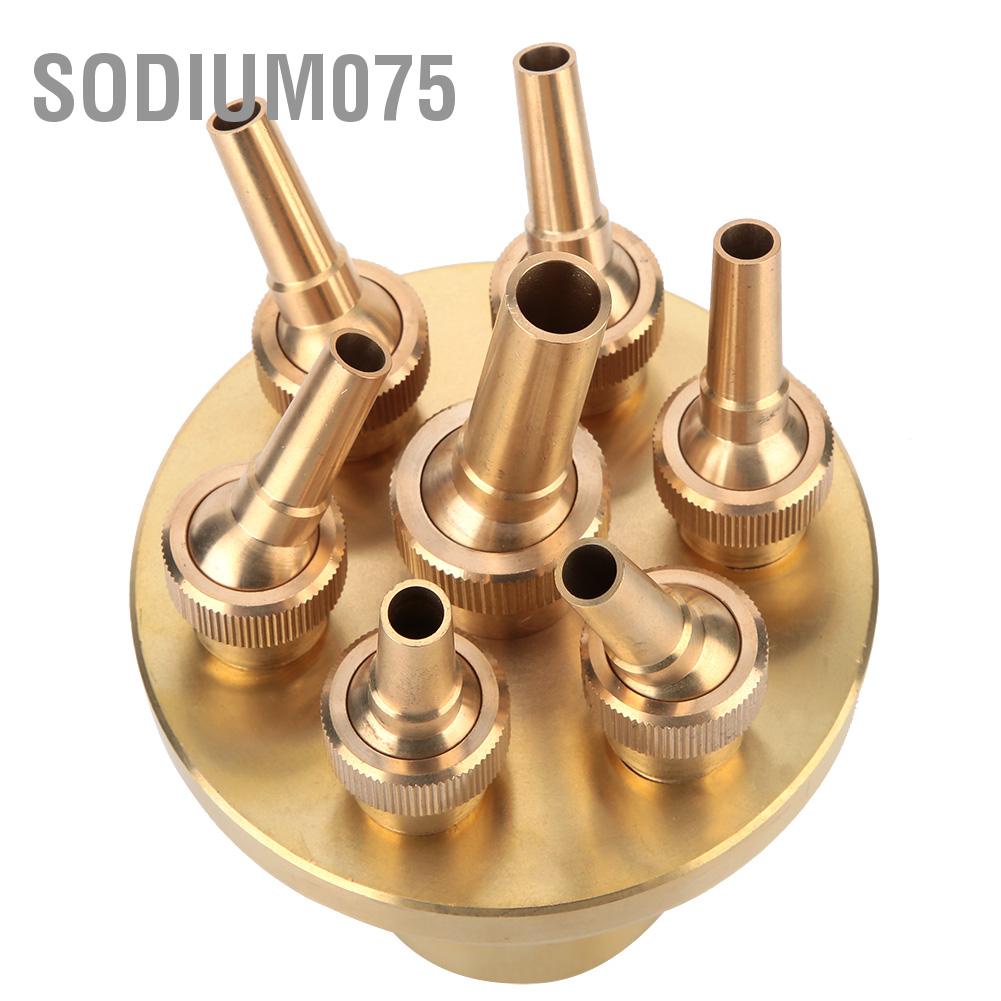 Có thể bán buôn Đầu phun nước hoa có thể điều chỉnh Nhiều vòi phun nước (DN25 / DN40 / DN50) Sodium075 Hàng giao ngay