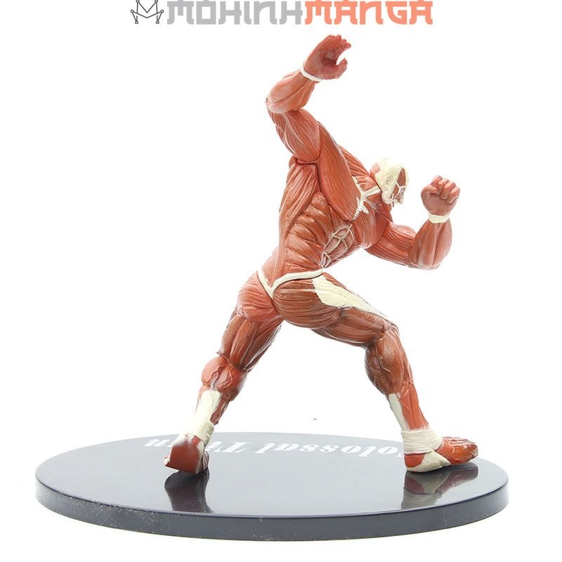 Mô hình Attack on titan khổng lồ Colossal, titan búa chiến, Titan tiến công Eren, titan thiết giáp Reiner, titan hình nữ