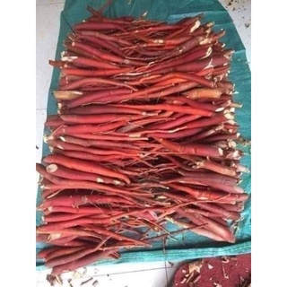 Sâm cau đỏ 1kg