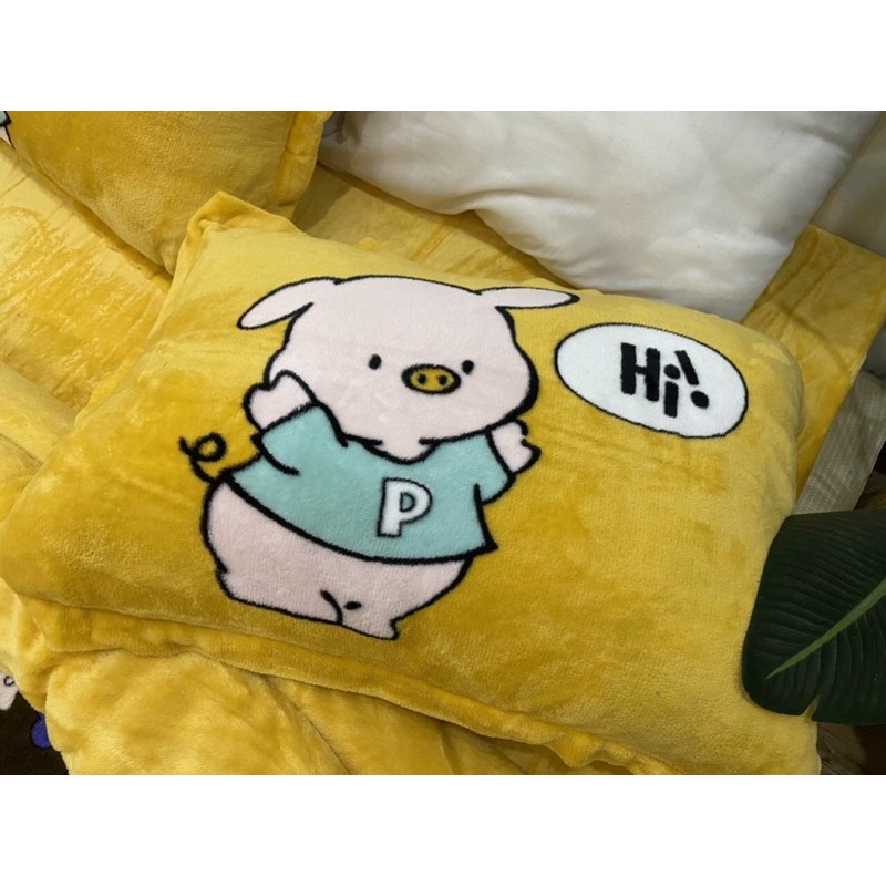 Sét bộ nỉ nhung 3D chăn thổi phao dày dặn cho mùa đông( miễn phí bo chun)