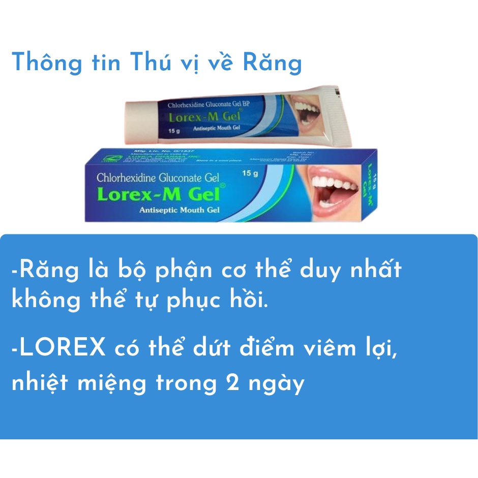Gel Bôi Viêm Lợi LOREX-GEL,SMYLORA-GEL Giảm Và Ngăn Ngừa Các Tác Nhân Gây Nhiệt Miệng,Viêm Lợi,Viêm Chân Răng,Hôi Miệng