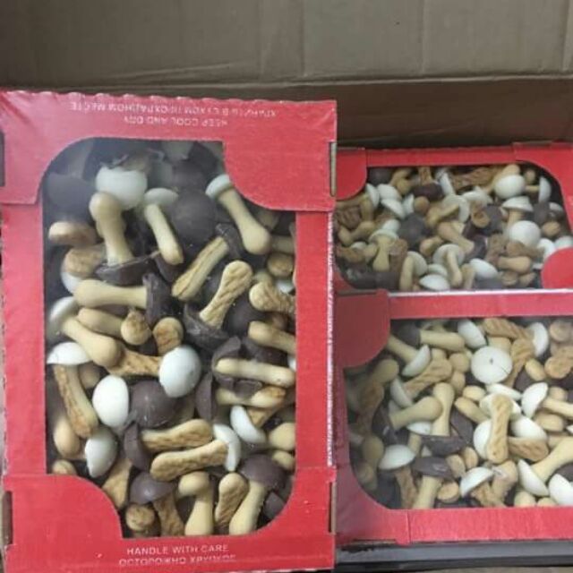 Bánh nấm của Nga Date t 9/2024 hộp 300g