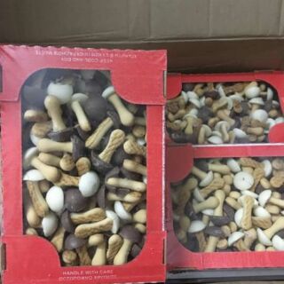 Bánh nấm của Nga Date t 9/2024 hộp 300g
