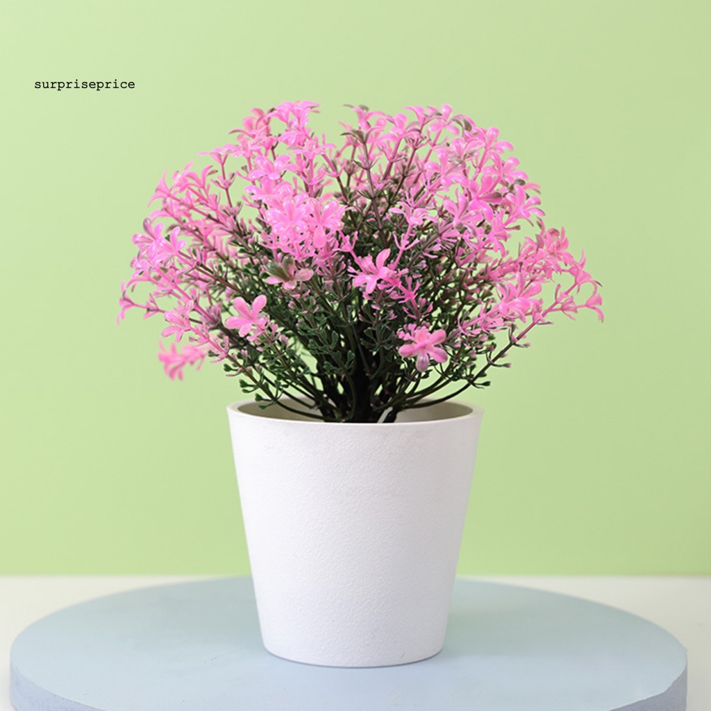 Chậu Cây Bonsai Giả Trang Trí Nhà Cửa