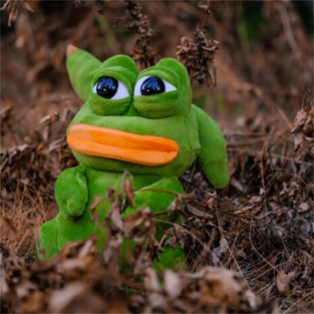 Đồ chơi nhồi bông kiểu chú ếch pokemon xanh lá từ cotton PP mềm mại đáng yêu cho nữ