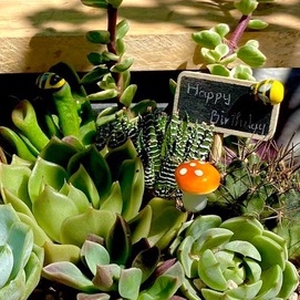 Cây nấm xốp mini phụ kiện trang trí tiểu cảnh terrarium cho sen đá xương rồng