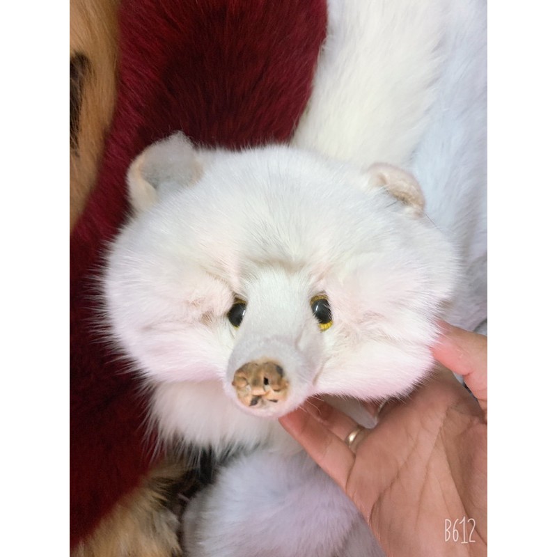 Khăn chồn lông thật