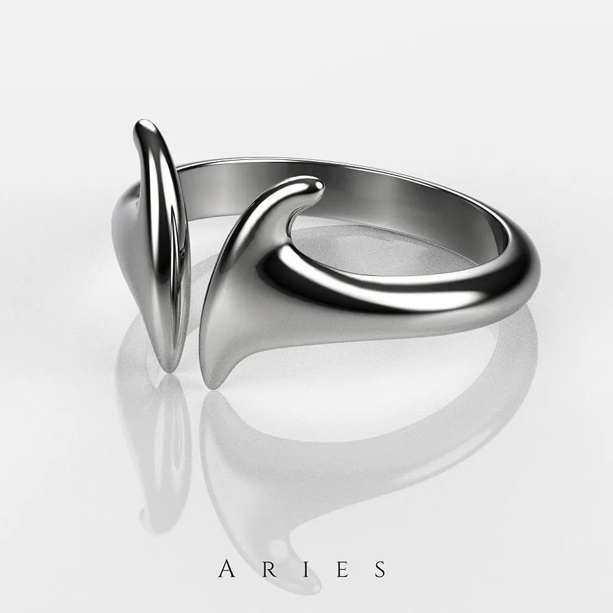 Nhẫn Bạc S925 Khắc Hình Cung Hoàng Đạo Mang Lại May Mắn Dành Cho Nam