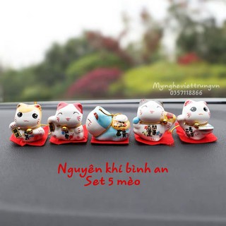 Set Mèo Mini Trang Trí oto