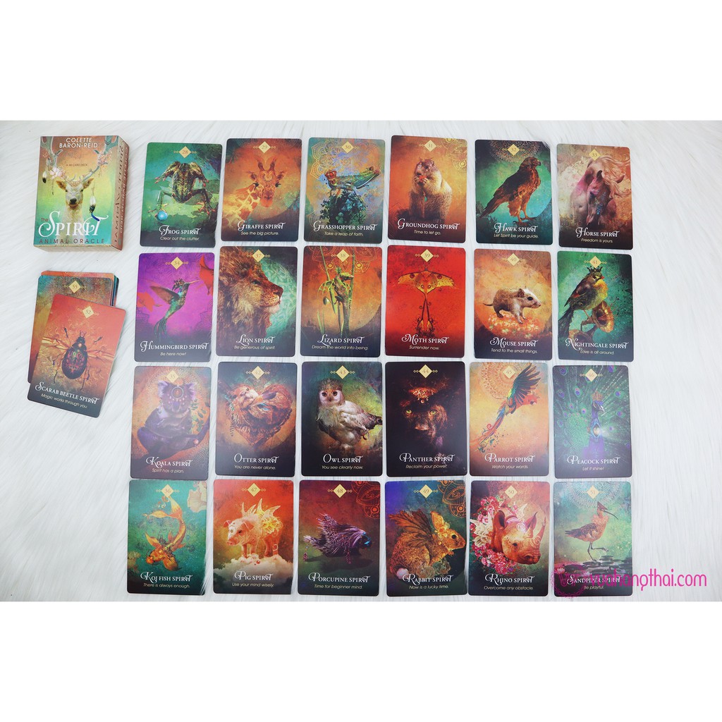 Bộ bài bói The Spirit Animal Oracle Tarot cao cấp