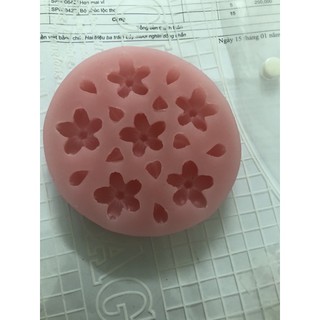 khuôn hoa đoà vỉ lá