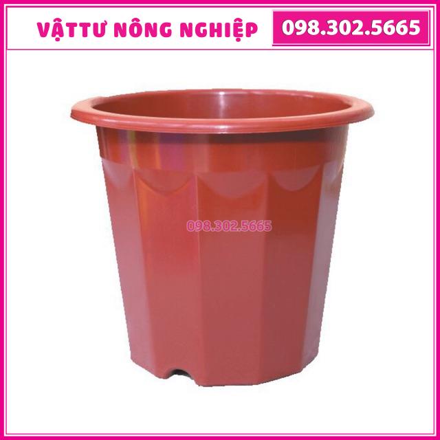 Combo 10 chậu nhựa trồng cây E330 (Kt: 28x18x25)