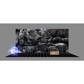 Tranh 3d. tranh dán bể cá thủy sinh, bể cá rồng