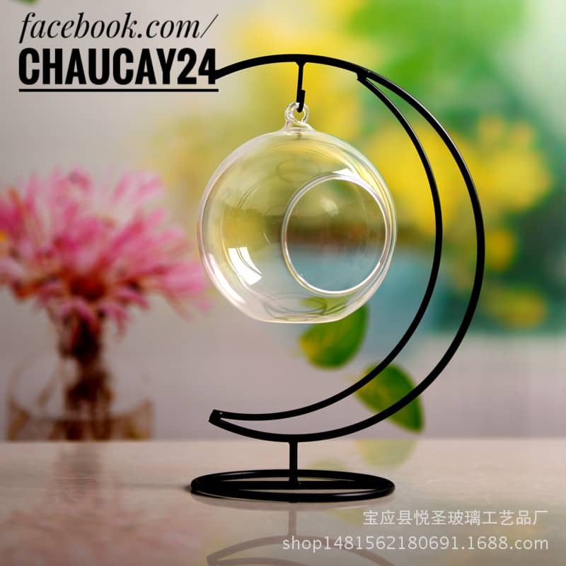 Chậu thủy tinh treo DK 10 cm trang trí terrarium, tiểu cảnh, terrarium, sen đá, xương rồng, charm slime