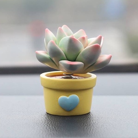 Chậu Xương Rồng Lắc Lư Đầu Dễ Thương Trang Trí Taplo Ô Tô