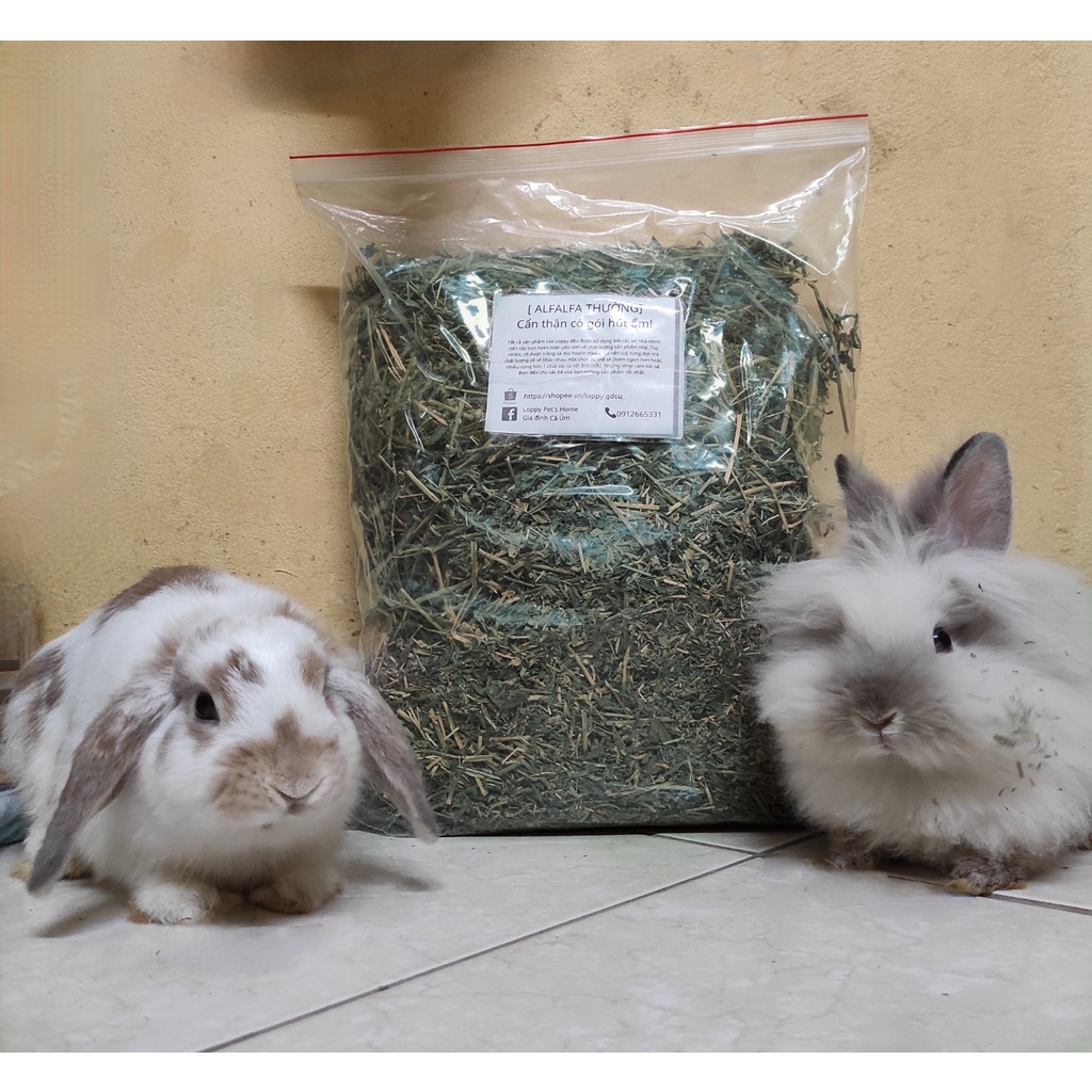 Cỏ Alfalfa thường dành cho thỏ/ chuột lang dưới 6 tháng