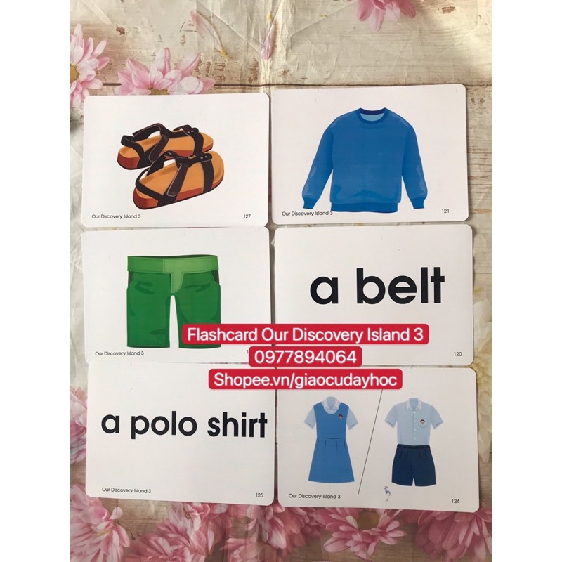 Flashcards  Our Discovery Island 3☘️194 thẻ thiết kế hai mặt bền đẹp💯