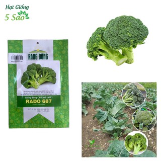 Hạt giống bông cải xanh lai f1 rado 687