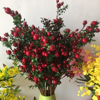 Combo 30 cành lựu đỏ