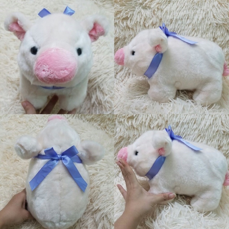 Gấu bông con heo lợn