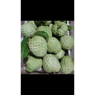 Na thái (na hoàng hậu)