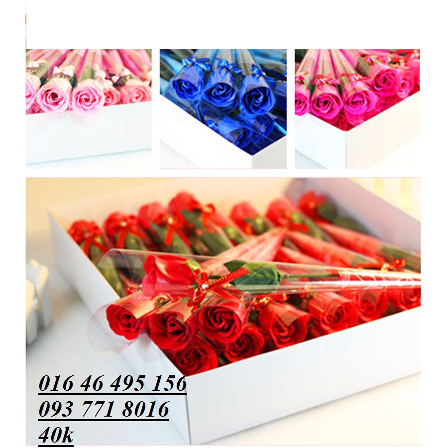 20-10 Hoa hồng sáp thơm 1 Bông | BigBuy360 - bigbuy360.vn