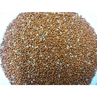 Hạt kê đỏ Ukraine size lớn gói 500g