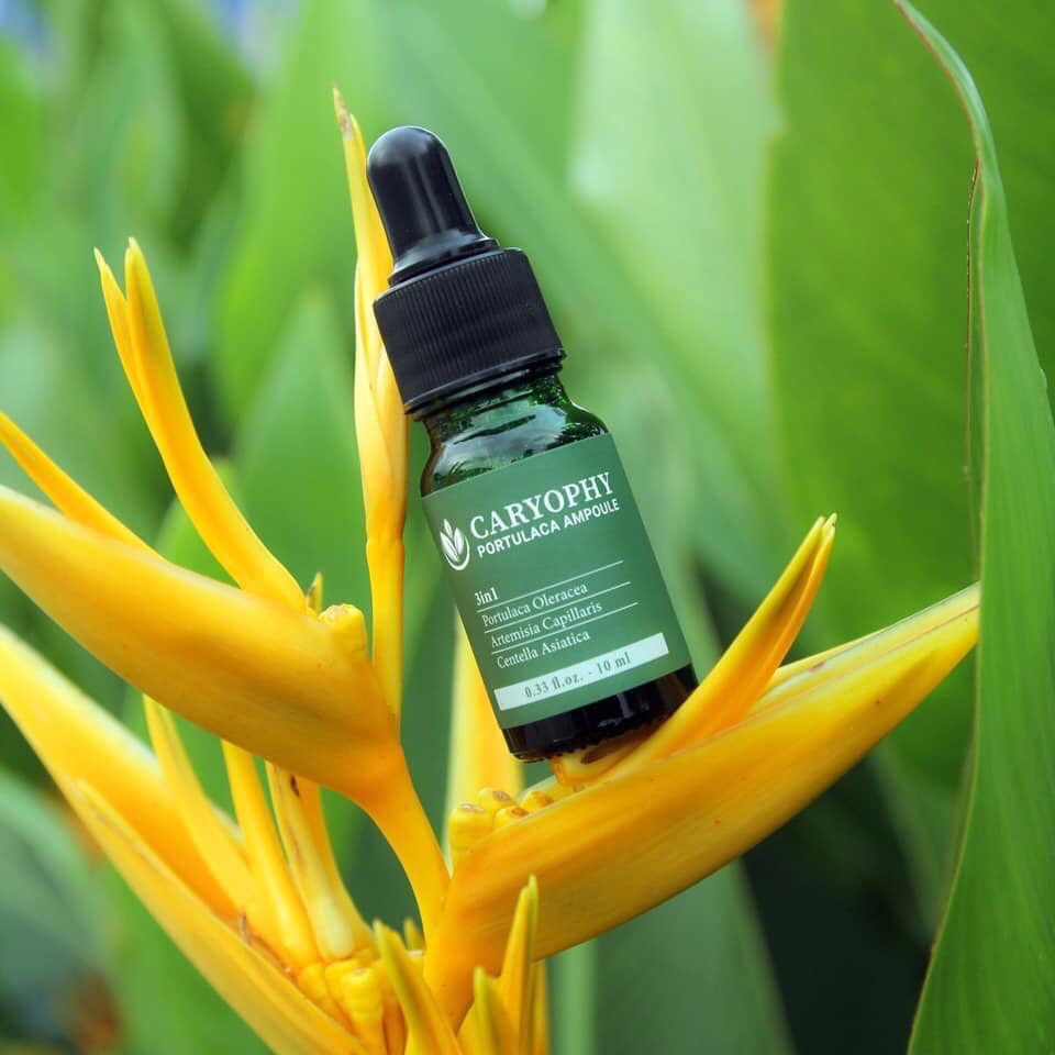 Combo làm sạch da, ngăn ngừa mụn và thâm Caryophy (Sữa rửa mặt 150ml + Serum 10ml) | BigBuy360 - bigbuy360.vn