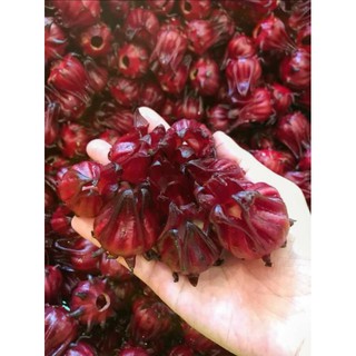 Giá nhà vườn 1 kg Bông ATISO đã tách hạt, giữ nguyên bông