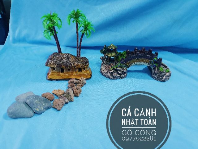 COMBO TRANG TRÍ HỒ CÁ NON BỘ 155K