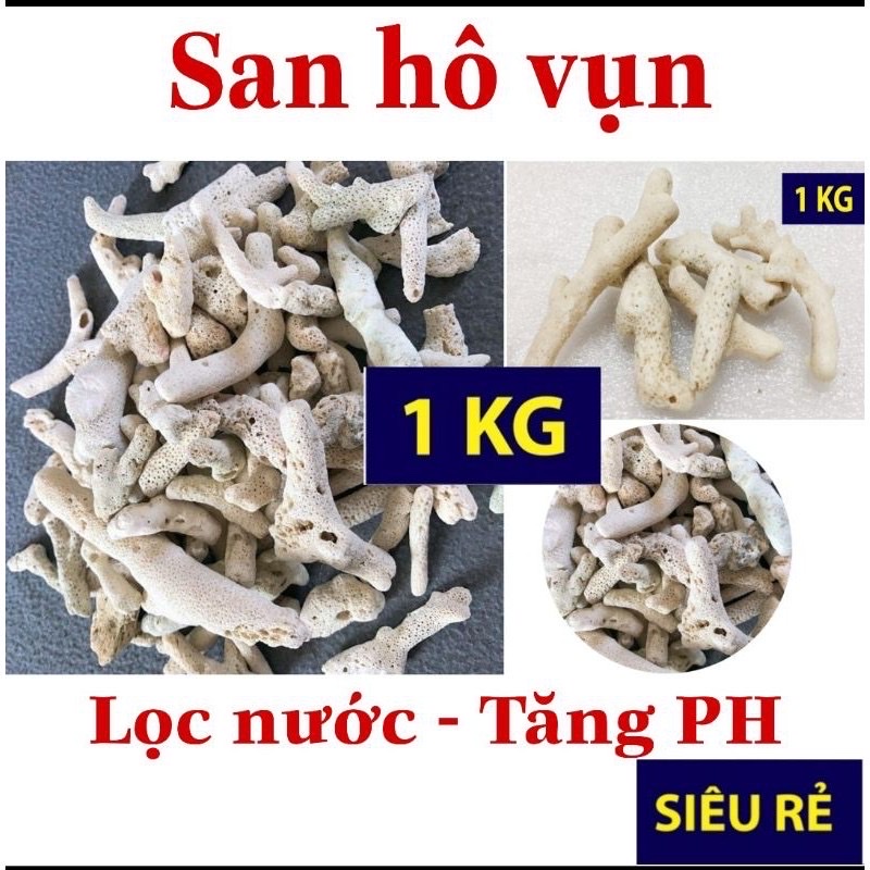 1kg Đá san hô trang trí hồ cá , lọc nước , tăng độ PH cho nước hồ cá