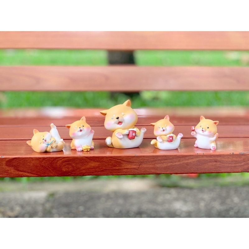 Chó Shiba thần tài cute