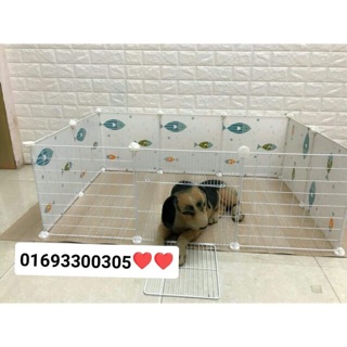 Chuồng chó mèo