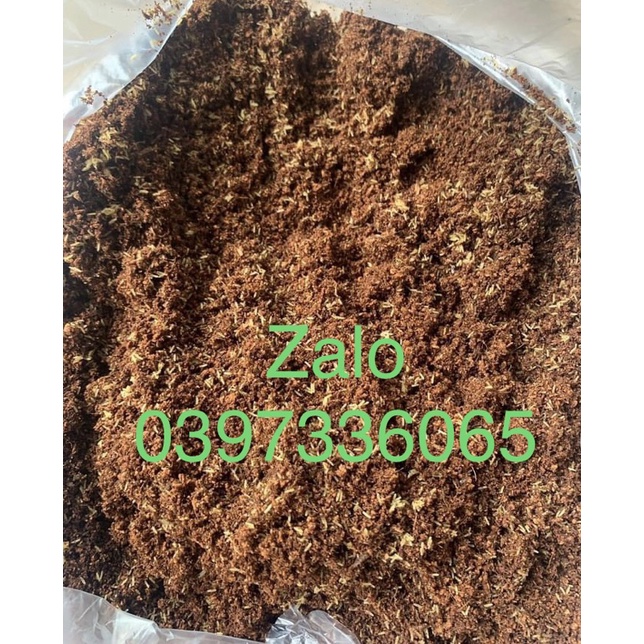 Trứng dế thái vàng