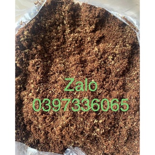combo 2 ổ trứng dế thái vàng