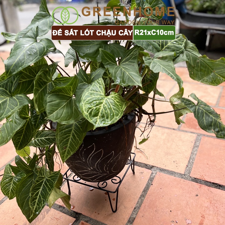 Đế kê chậu cây bằng sắt Greenhome, R21xC10cm, sơn tĩnh điện, màu đen, uốn mỹ nghệ, bền, đẹp, nhiều hình dạng lựa chọn