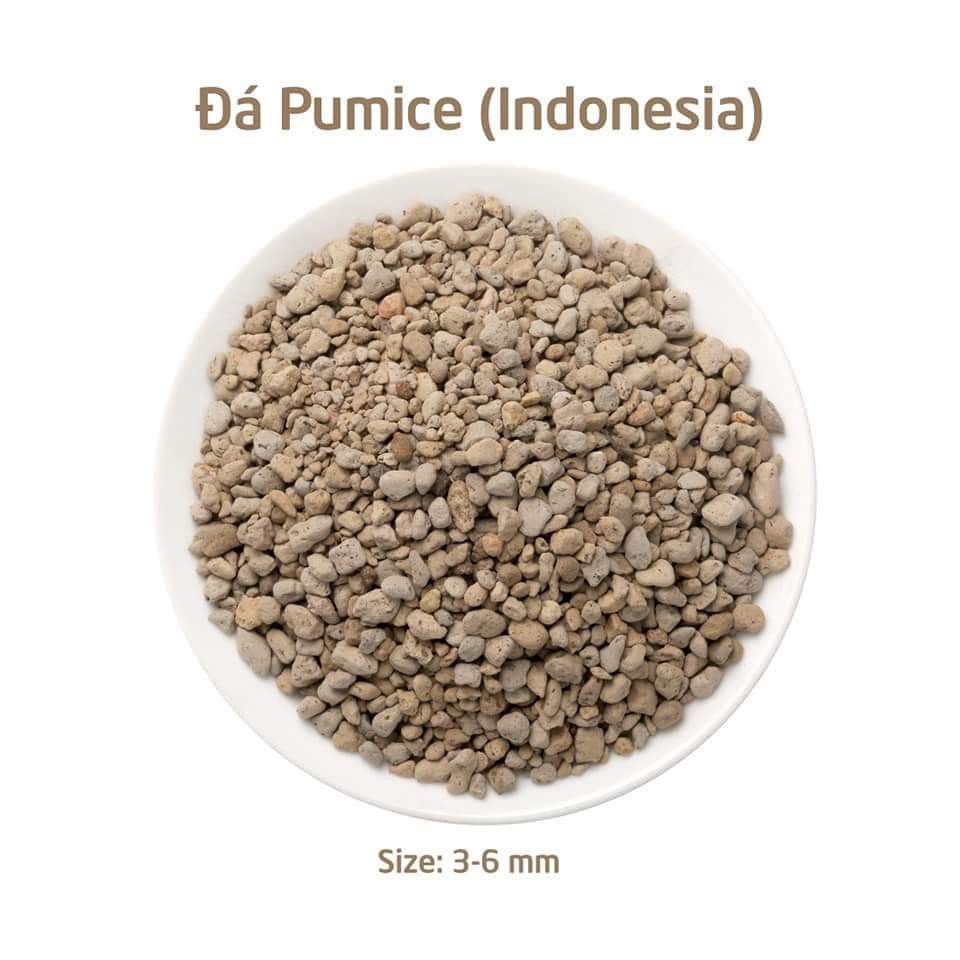 Đá Pumice - Perlite - Vermiculite Peat Moss