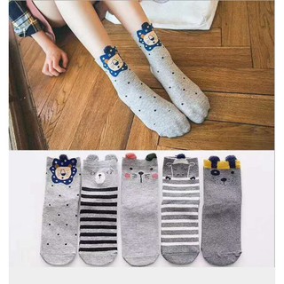 Set 5 đôi tất trẻ em kiểu hàn quốc