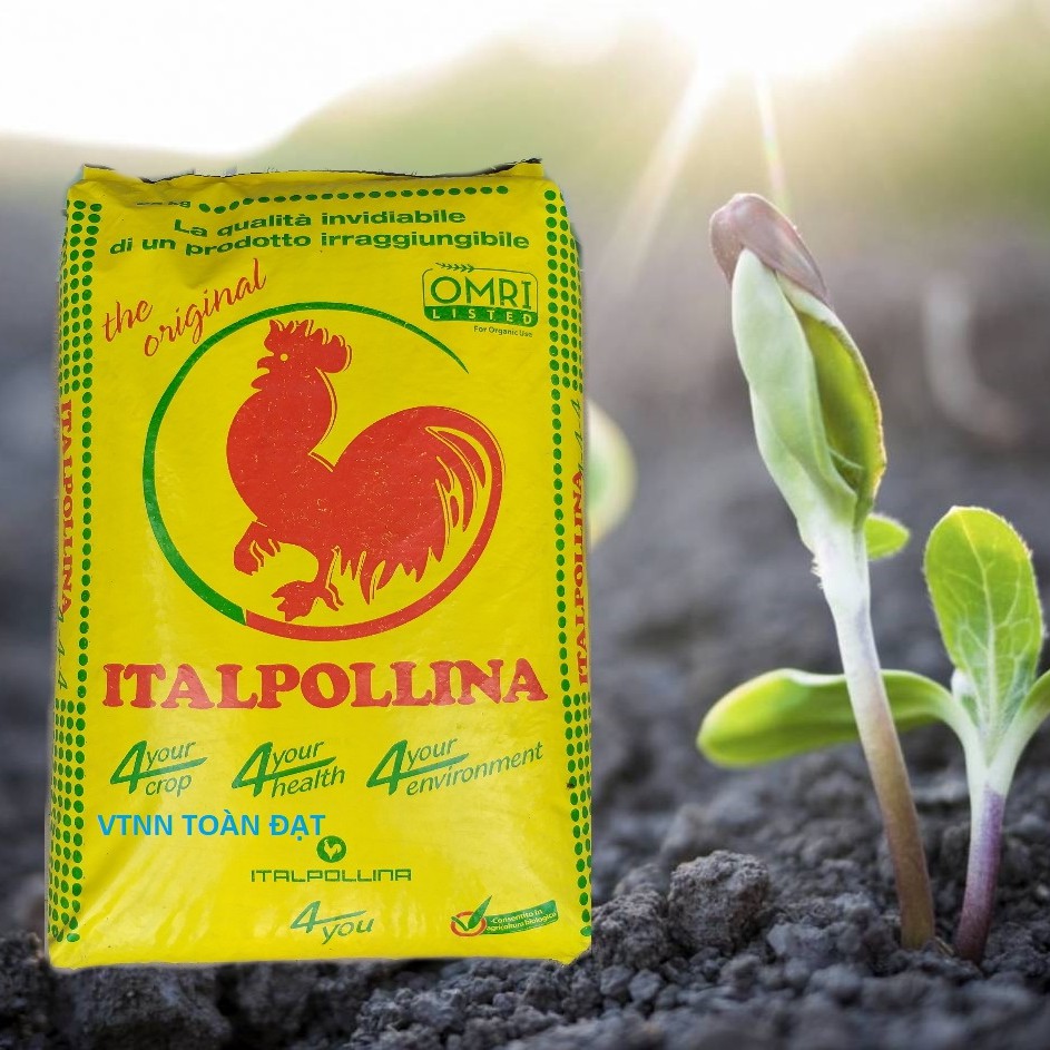 Phân Hữu Cơ Cao Cấp Nhập Khẩu Ý , Phân Bón Hữu Cơ ITALYA