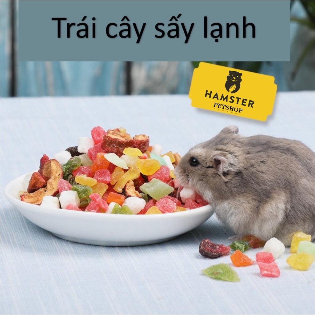 Trái cây sấy lạnh bổ sung vitamin dành cho hamster/sóc/nhím