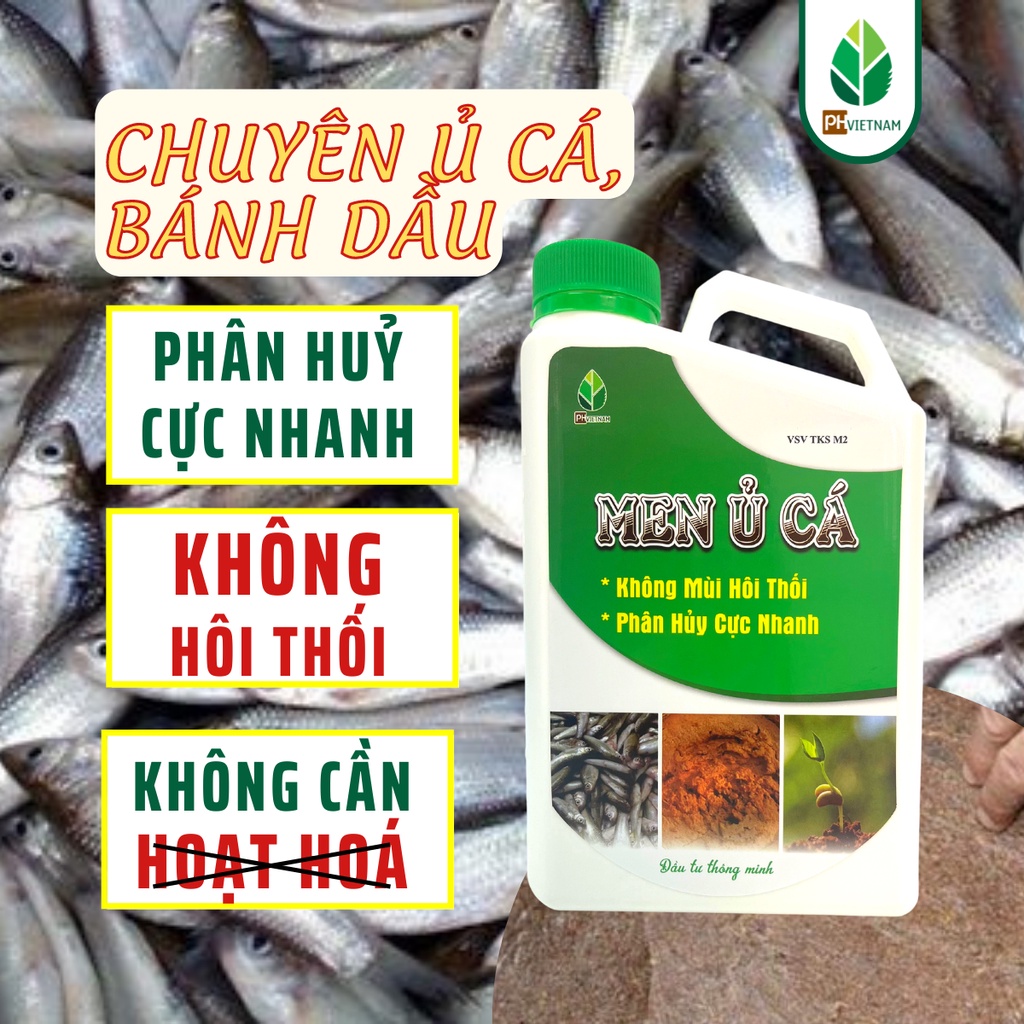 Men Ủ Cá Làm Phân Bón Không Cần Rỉ Mật Đường - Ủ Nhanh, Không Hôi Thối, Tạo Ra Lượng Đạm Nhiều Nhất- PH Việt Nam