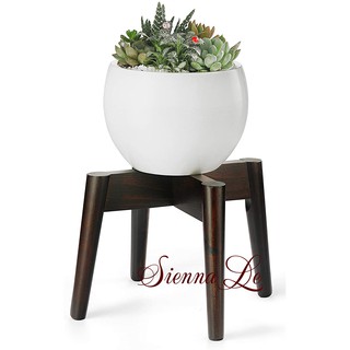 Sienna Le Đôn Gỗ Nhỏ, Giá Kệ Đế Đỡ Chậu Hoa - Phong cách Mid-Century - Cao 19 cm x Rộng 24,5 cmo
