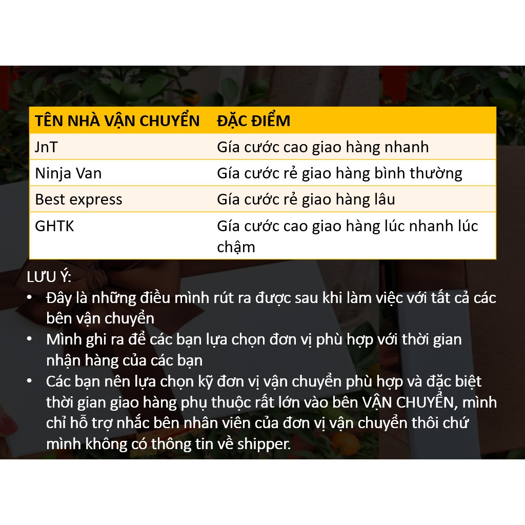 Hộp quà hình chữ nhật 23cmx13,5cmx8,5cm tặng kèm 1 túi (10gram) xốp | BigBuy360 - bigbuy360.vn