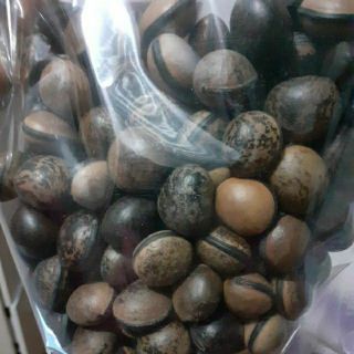 0,5kg hạt đậu lào