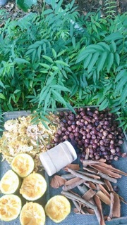 Nước rửa bát enzym bồ hòn quế