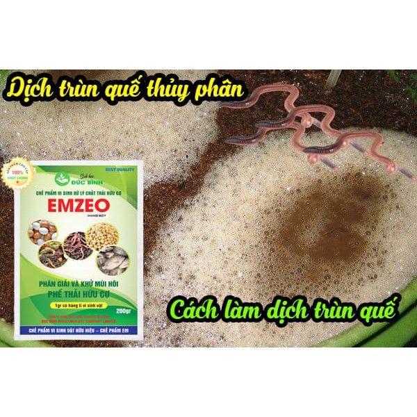 Men vi sinh EMZEO thủy phân trùn quế - Cách làm dịch trùn quế không hôi tưới cây